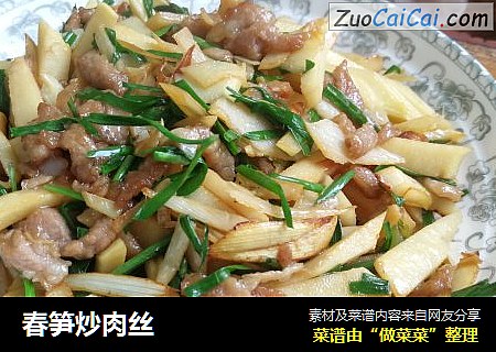 春笋炒肉丝