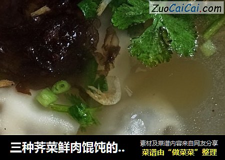 三种荠菜鲜肉馄饨的包法