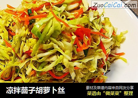 凉拌茴子胡萝卜丝