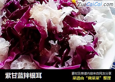 紫甘蓝拌银耳
