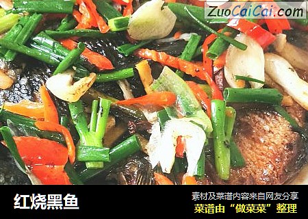 红烧黑鱼