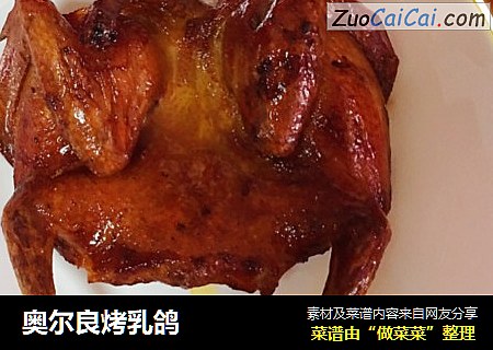 奥尔良烤乳鸽
