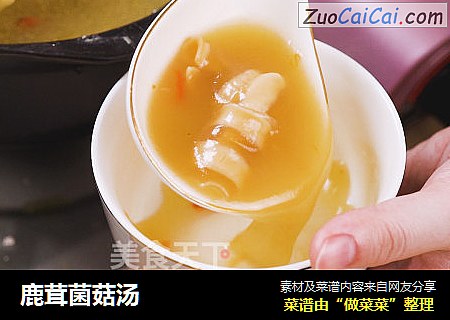 鹿茸菌菇汤