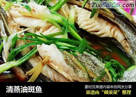 清蒸油斑鱼