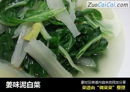 姜味泥白菜