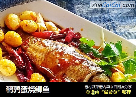 鹌鹑蛋烧鲫鱼