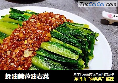蚝油蒜蓉油麦菜
