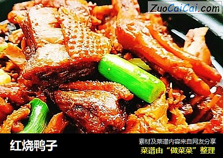 红烧鸭子
