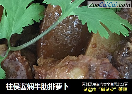柱侯酱焖牛肋排萝卜