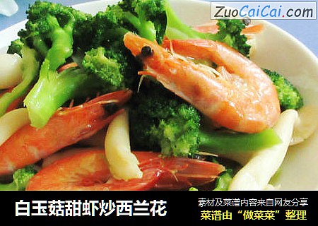 白玉菇甜虾炒西兰花