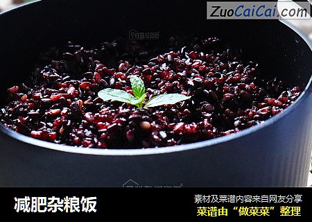 减肥杂粮饭