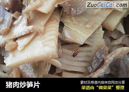 猪肉炒笋片