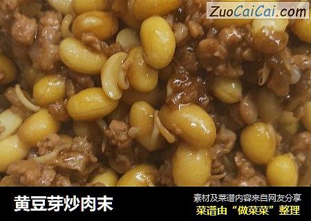 黄豆芽炒肉末