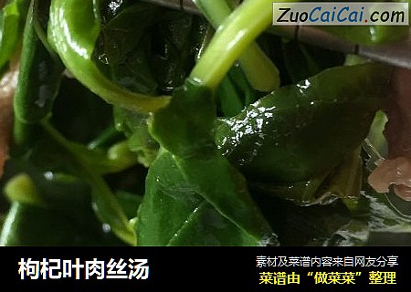 枸杞叶肉丝汤