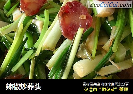 辣椒炒荞头