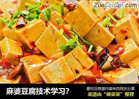 麻婆豆腐技术学习？