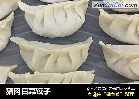 猪肉白菜饺子