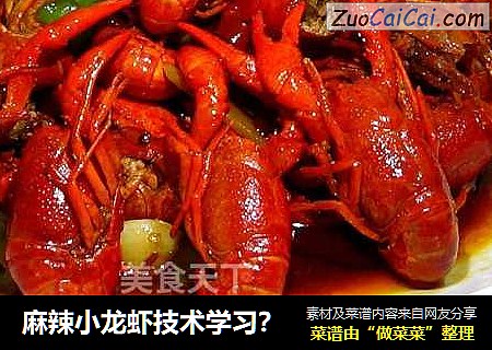 麻辣小龙虾技术学习？
