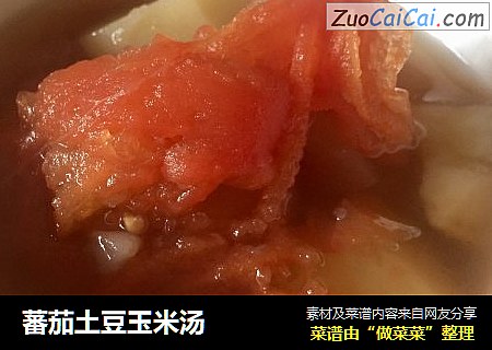 蕃茄土豆玉米汤