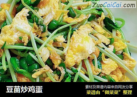 豆苗炒鸡蛋