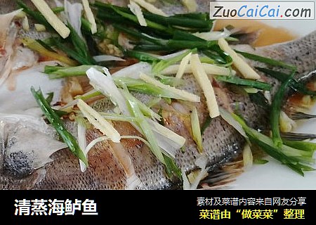 清蒸海鲈鱼
