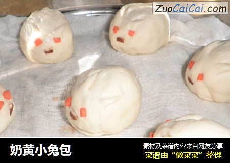 奶黄小兔包