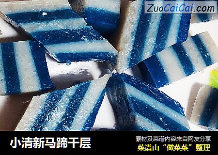 小清新马蹄千层