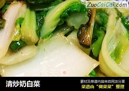 清炒奶白菜