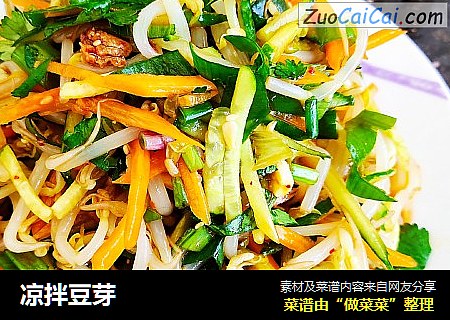凉拌豆芽