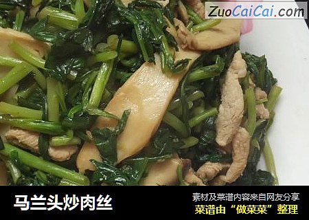 马兰头炒肉丝