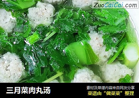 三月菜肉丸汤