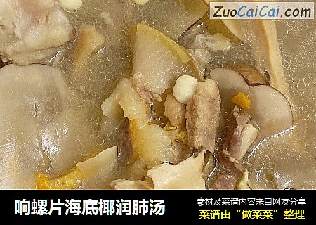 响螺片海底椰润肺汤