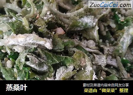 蒸桑叶