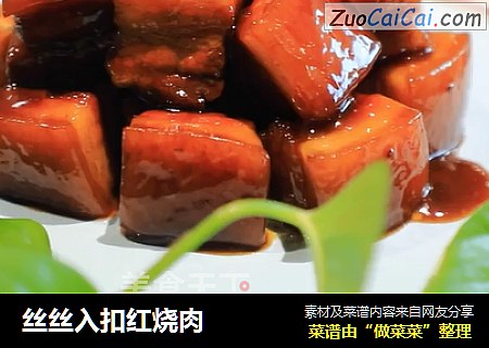 丝丝入扣红烧肉
