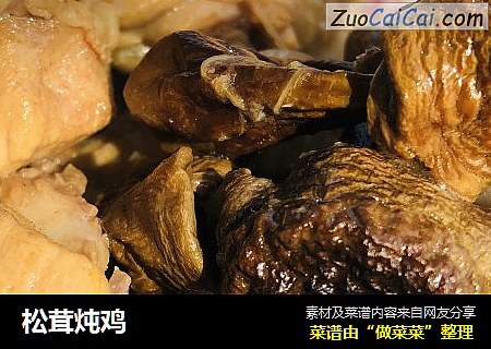 松茸炖鸡
