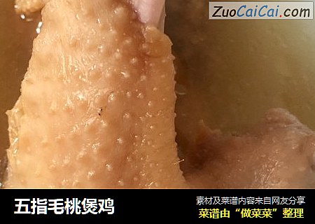 五指毛桃煲鸡