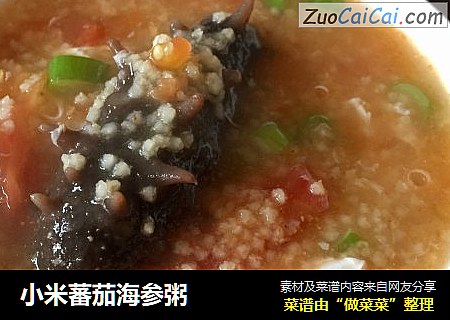 小米蕃茄海参粥