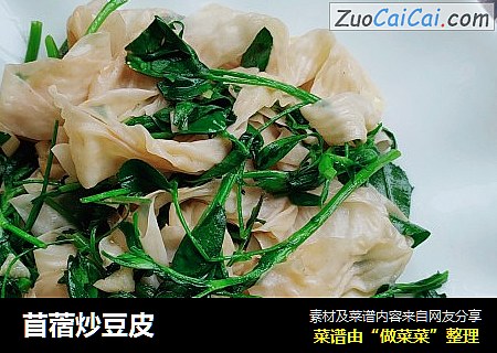 苜蓿炒豆皮