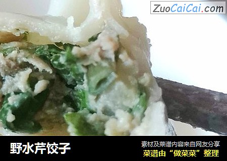 野水芹饺子