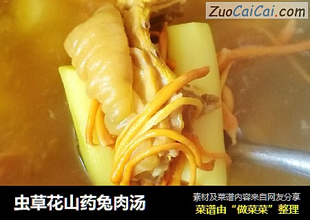 虫草花山药兔肉汤