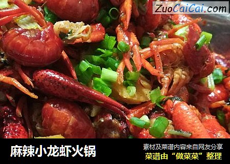 麻辣小龙虾火锅