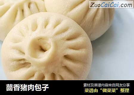 茴香猪肉包子