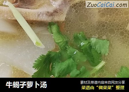 牛蝎子萝卜汤
