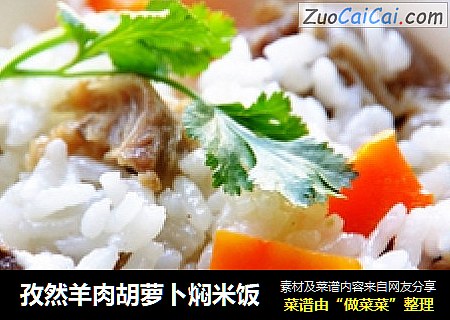 孜然羊肉胡萝卜焖米饭