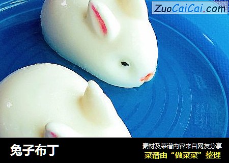 兔子布丁