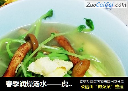 春季润燥汤水——虎松茸豆苗汤