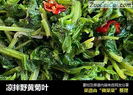 凉拌野黄菊叶