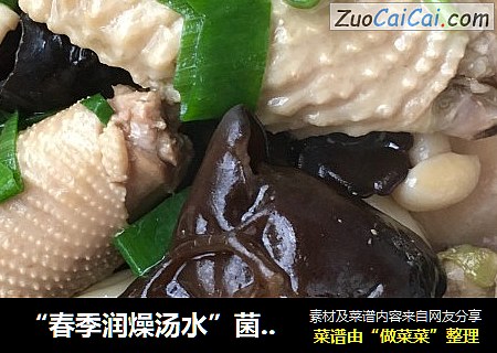 “春季润燥汤水”菌菇鸡汤