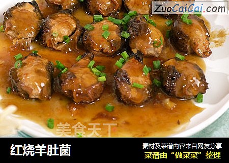 红烧羊肚菌