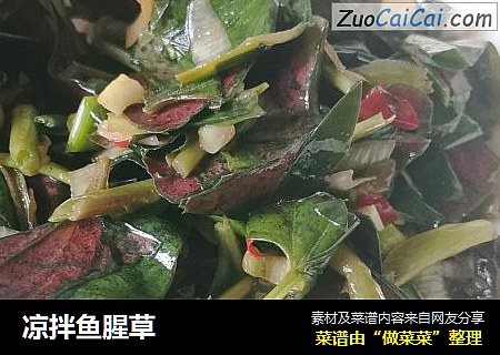 凉拌鱼腥草